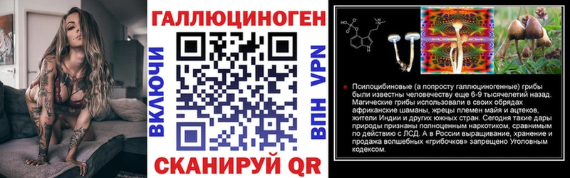 Купить где  Ленинск-Кузнецкий  Галлюциногенные грибы MAGIC MUSHROOMS 